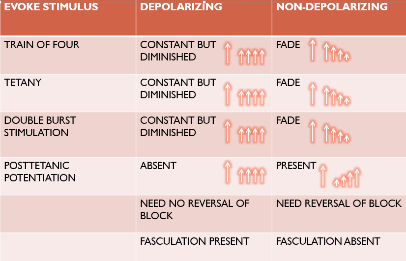 Muscle Relaxants - Neuromuscular Blocking Drugs
