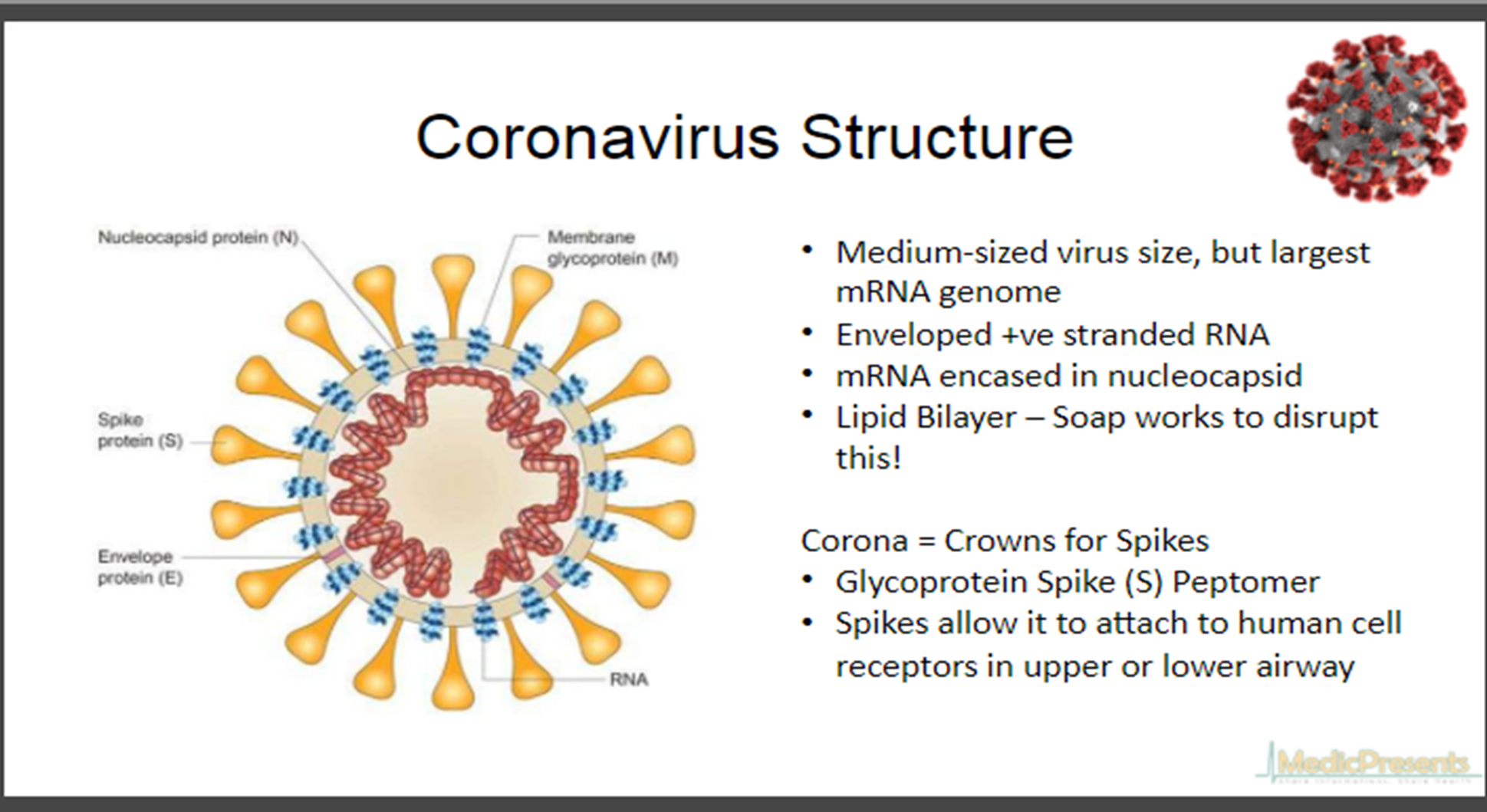 Coronavirus