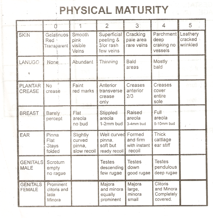 Physical Examination of The Newborn